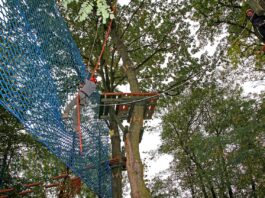 Parki linowe we Wrocławiu i okolicy. Najciekawsze miejsca na zabawę dla całej rodziny Na zdjęciu widok na atrakcje w parku linowym