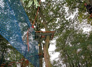 Parki linowe we Wrocławiu i okolicy. Najciekawsze miejsca na zabawę dla całej rodziny Na zdjęciu widok na atrakcje w parku linowym