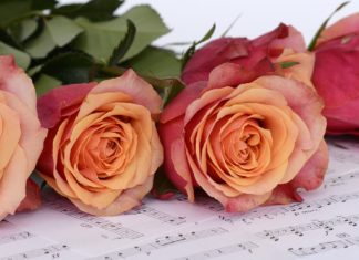 Wrocław Koncerty Marzec 2019 – co jest grane? wrocław koncerty