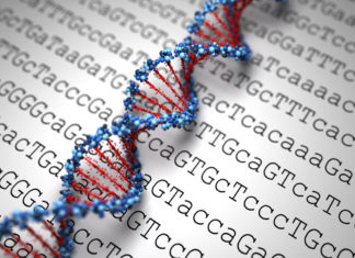 Gdzie zrobić badania genetyczne we Wrocławiu? Badania Genetyczne OGEN