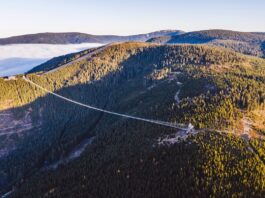 W pobliżu Śnieżnika powstaje najdłuższy wiszący most na świecie! Spacer w chmurach już niebawem