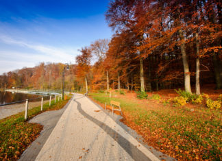 Gdzie na weekend w okolicy Wrocławia? Atrakcje turystyczne w dawnym podwrocławskim uzdrowisku