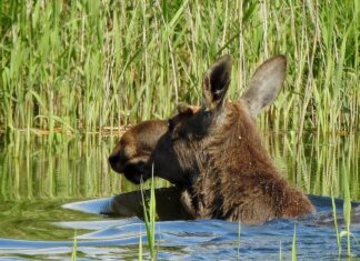 Majówka last-minute? Dolina Baryczy czeka!
