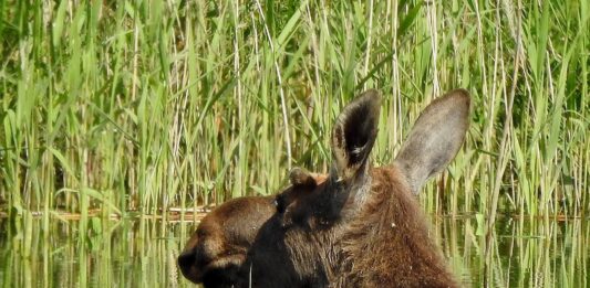 Majówka last-minute? Dolina Baryczy czeka!