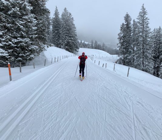 Narty biegowe: 10 świetnych tras na Dolnym Śląsku