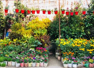 Wrocławski Tor Wyścigów Konnych na Partynicach zamieni się w wielki ogród!