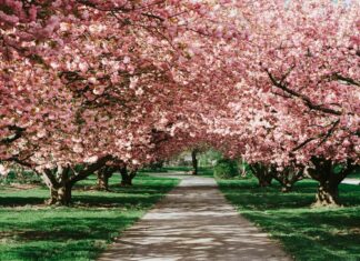 7 mniej znanych wrocławskich parków, które warto odwiedzić wiosną