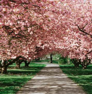 7 mniej znanych wrocławskich parków, które warto odwiedzić wiosną