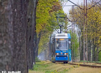 Zmiany w komunikacji spowodowane wymianą rozjazdów tramwajowych.