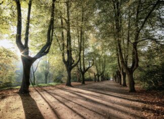 5 wrocławskich oaz zieleni, o których mogliście nie wiedzieć