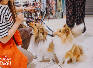 PupiLove Targi już w weekend we Wrocławiu! Zabierz psa lub kota na zakupy