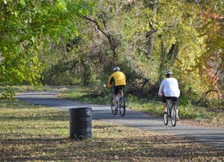 Zielona rowerowa oś zachodnia – przetarg na budowę alternatywnej dla ul. Legnickiej trasy