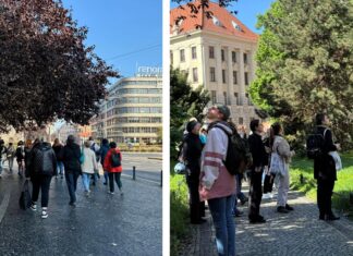 „Wpadnij na Kościuszki!” – bezpłatne atrakcje, spacery, warsztaty i specjalne oferty lokalnych przedsiębiorców