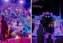 Wrocław znów rozbłyśnie! Lumina Park zaprasza do Krainy Czarów w Zamku Topacz