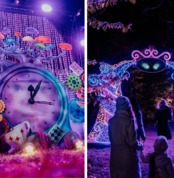 Wrocław znów rozbłyśnie! Lumina Park zaprasza do Krainy Czarów w Zamku Topacz