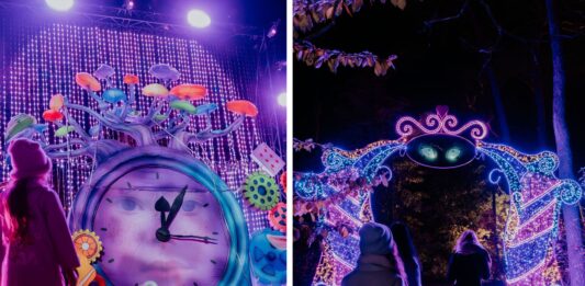 Wrocław znów rozbłyśnie! Lumina Park zaprasza do Krainy Czarów w Zamku Topacz