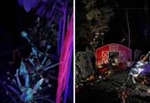 Dyniowe Iluminacje 2025 w Ogrodzie Botanicznym we Wrocławiu