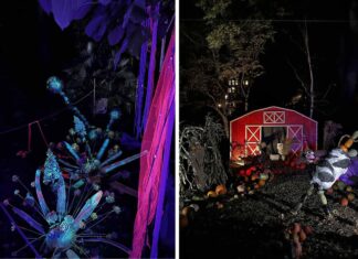 Dyniowe Iluminacje 2025 w Ogrodzie Botanicznym we Wrocławiu