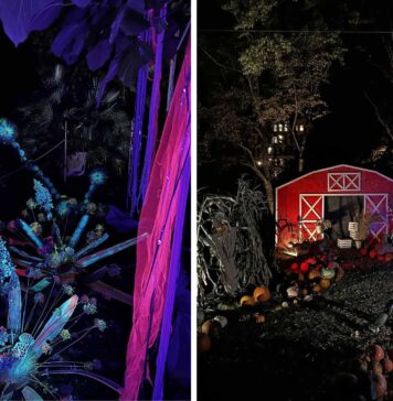 Dyniowe Iluminacje 2025 w Ogrodzie Botanicznym we Wrocławiu