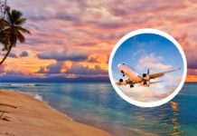 KLM tnie ceny z Wrocławia. Wielka wyprzedaż biletów do Azji, Afryki i obu Ameryk