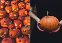 Gdzie na Halloween 2025 we Wrocławiu?