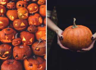 Gdzie na Halloween 2025 we Wrocławiu?