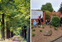 Tak zmieniają się Wojnowice pod Wrocławiem. Brawo mieszkańcy!