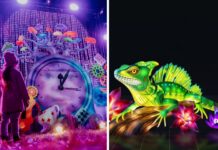 Te atrakcje będą otwarte we Wrocławiu 11 listopada w Święto Niepodległości