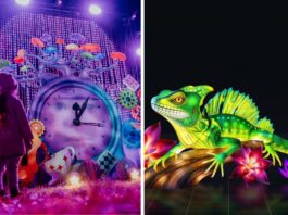 Te atrakcje będą otwarte we Wrocławiu 11 listopada w Święto Niepodległości