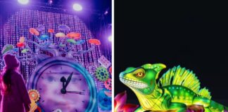 Te atrakcje będą otwarte we Wrocławiu 11 listopada w Święto Niepodległości