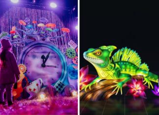 Te atrakcje będą otwarte we Wrocławiu 11 listopada w Święto Niepodległości