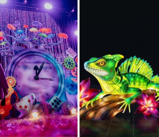 Te atrakcje będą otwarte we Wrocławiu 11 listopada w Święto Niepodległości