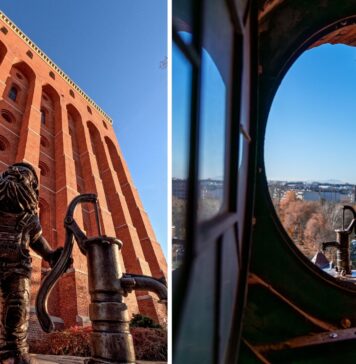 Nowa przestrzeń w Hydropolis! Zielony dach i… krasnal z misją