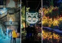 Iluminacje świetlne na Dolnym Śląsku w 2025 roku – co warto zobaczyć?