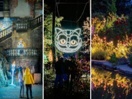 Iluminacje świetlne na Dolnym Śląsku w 2025 roku – co warto zobaczyć?