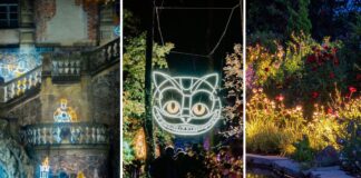 Iluminacje świetlne na Dolnym Śląsku w 2025 roku – co warto zobaczyć?