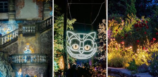 Iluminacje świetlne na Dolnym Śląsku w 2025 roku – co warto zobaczyć?