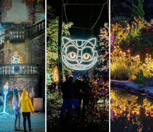 Iluminacje świetlne na Dolnym Śląsku w 2025 roku – co warto zobaczyć?