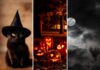 Halloween 2026 we Wrocławiu i na Dolnym Śląsku! 12 pomysłów na wieczór pełen grozy i zabawy