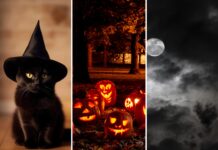 Halloween 2026 we Wrocławiu i na Dolnym Śląsku! 12 pomysłów na wieczór pełen grozy i zabawy