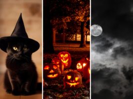 Halloween 2026 we Wrocławiu i na Dolnym Śląsku! 12 pomysłów na wieczór pełen grozy i zabawy