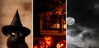 Halloween 2026 we Wrocławiu i na Dolnym Śląsku! 12 pomysłów na wieczór pełen grozy i zabawy