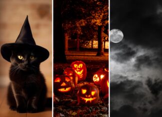 Halloween 2026 we Wrocławiu i na Dolnym Śląsku! 12 pomysłów na wieczór pełen grozy i zabawy