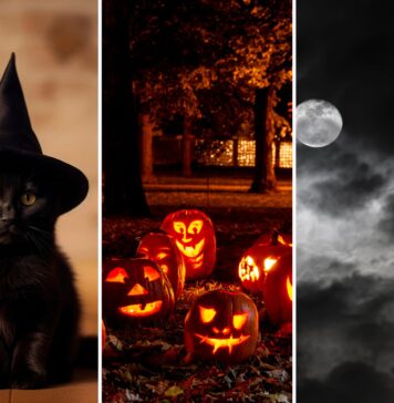 Halloween 2026 we Wrocławiu i na Dolnym Śląsku! 12 pomysłów na wieczór pełen grozy i zabawy