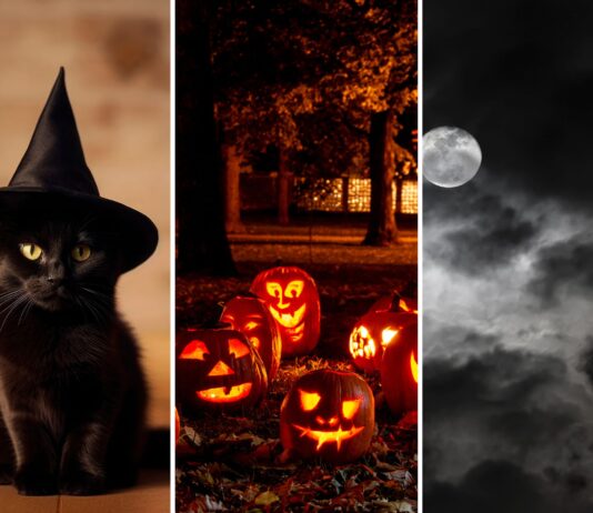 Halloween 2026 we Wrocławiu i na Dolnym Śląsku! 12 pomysłów na wieczór pełen grozy i zabawy