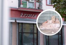 We Wrocławiu otworzy się Żyjnia – wyjątkowe miejsce dla wytchnienia wśród sztuki