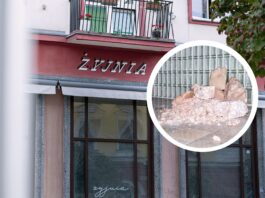 We Wrocławiu otworzy się Żyjnia – wyjątkowe miejsce dla wytchnienia wśród sztuki