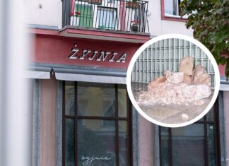 We Wrocławiu otworzy się Żyjnia – wyjątkowe miejsce dla wytchnienia wśród sztuki