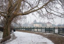 Prognoza pogody dla Wrocławia na tydzień 26 listopada – 1 grudnia