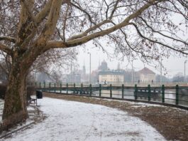 Prognoza pogody dla Wrocławia na tydzień 26 listopada – 1 grudnia